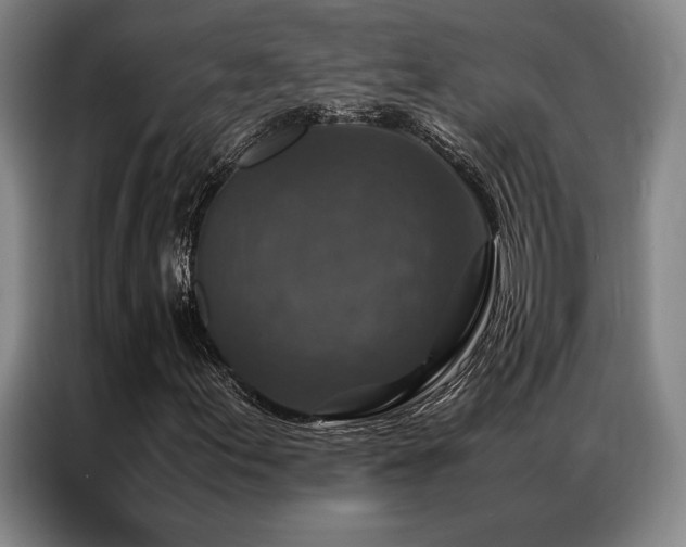 X0000087371155200704201223