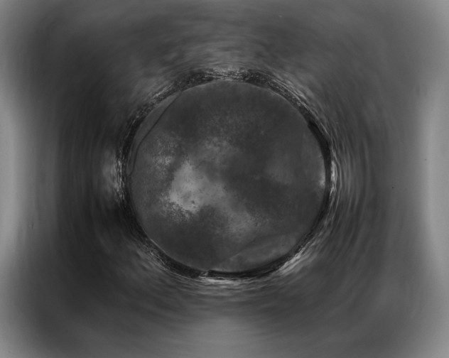X0000087371156200704201223