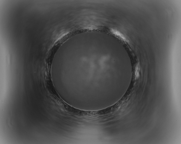 X0000087371158200704201223