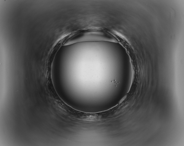 X0000087371160200704201223