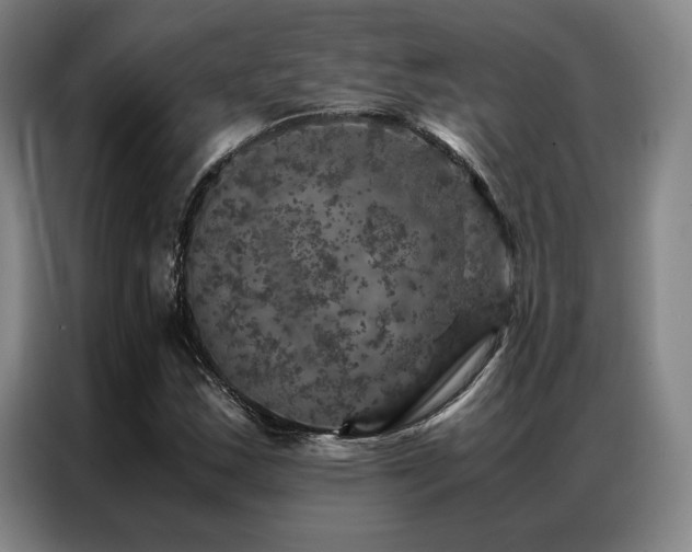 X0000087371163200704201223