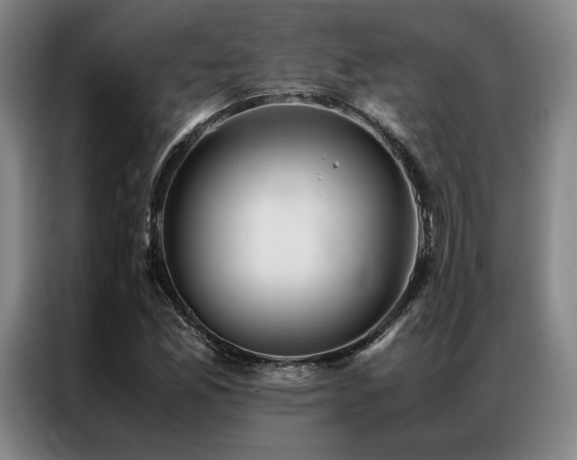 X0000087371165200704201223