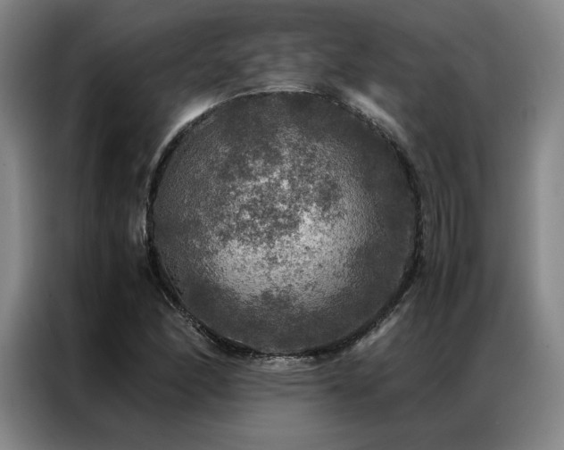 X0000087371166200704201223