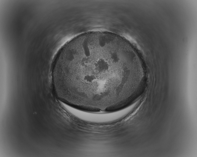 X0000087371167200704201223