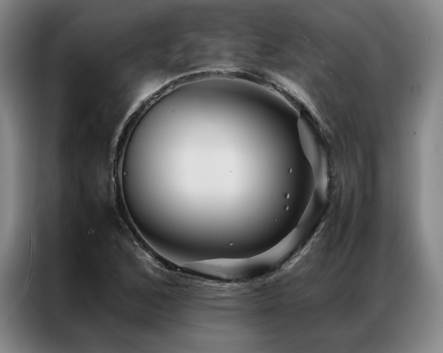 X0000087371168200704201222