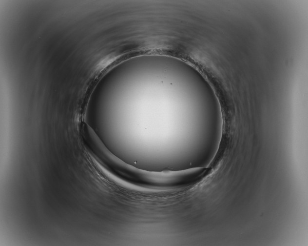 X0000087371169200704201222