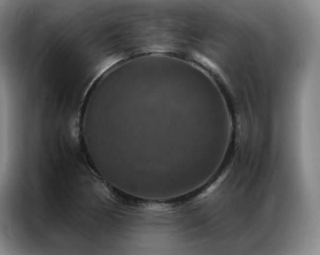 X0000087371170200704201222