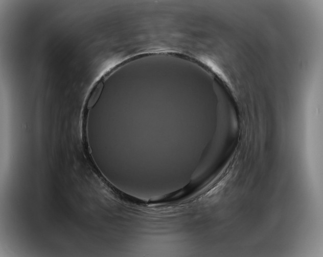 X0000087371173200704201222