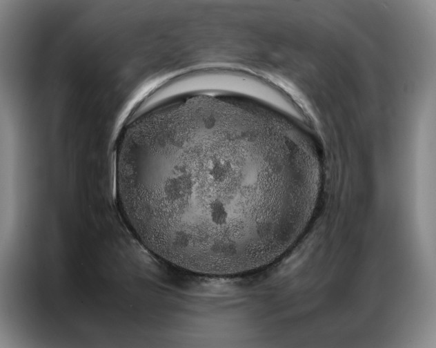 X0000087371175200704201222