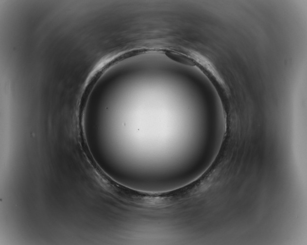 X0000087371176200704201222