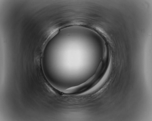 X0000087371177200704201222