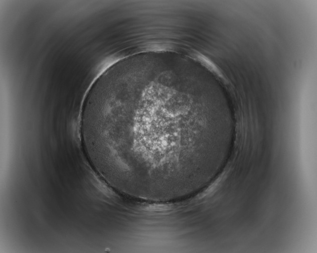 X0000087371178200704201222
