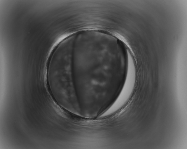 X0000087371179200704201222