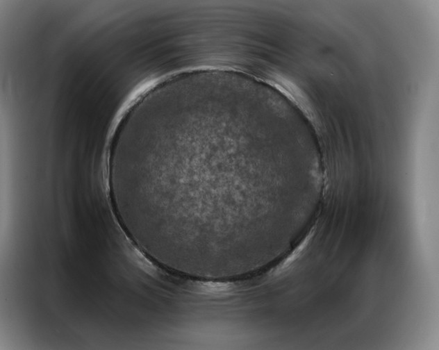 X0000087371180200704201222