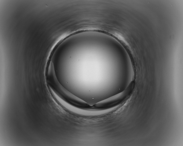 X0000087371181200704201222