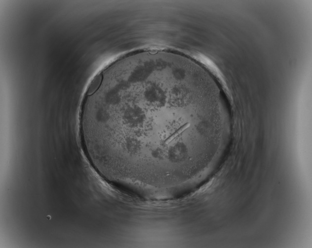 X0000087371183200704201222