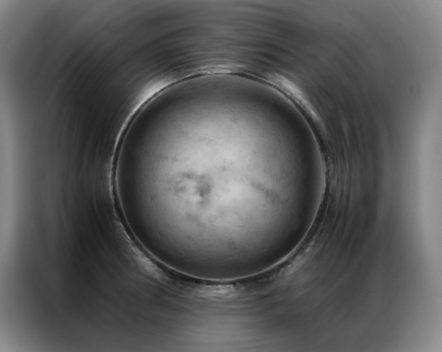 X0000087371186200704201222