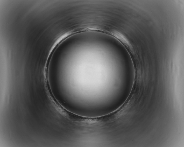 X0000087371190200704201222