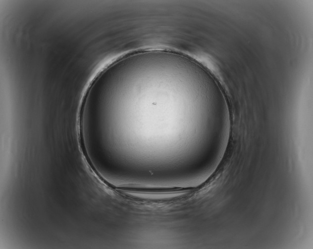 X0000087371191200704201222