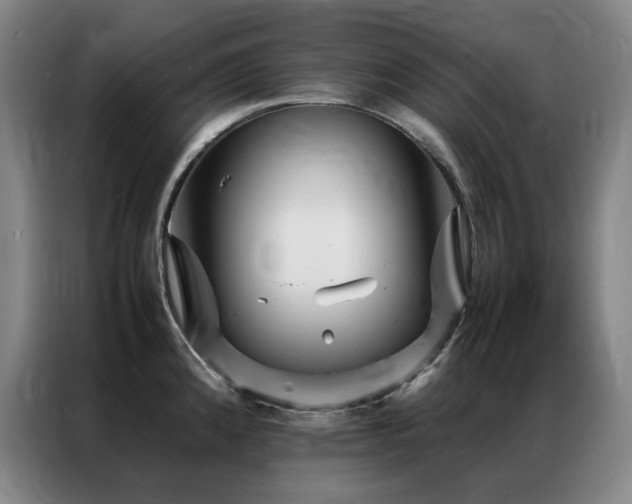 X0000087371192200704201222