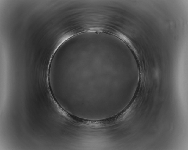 X0000087371194200704201222