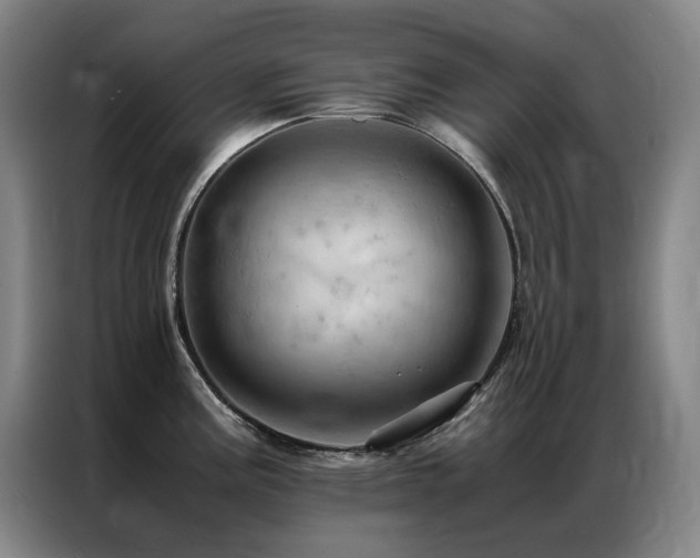 X0000087371195200704201222