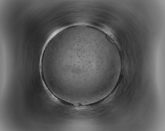 X0000087371199200704201222