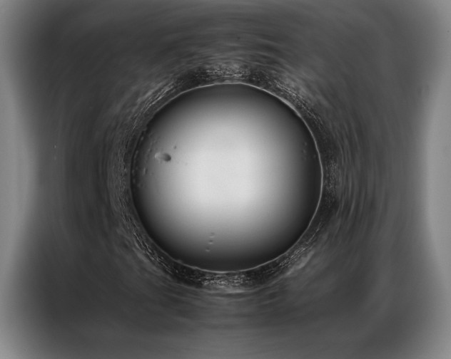 X0000087371201200704201222