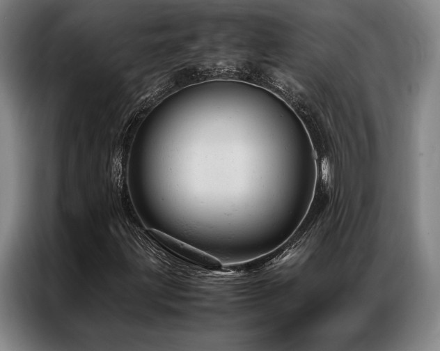 X0000087371203200704201222