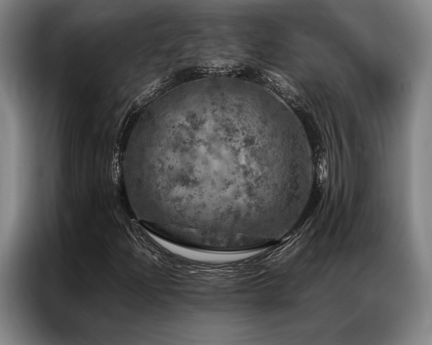 X0000087371204200704201222