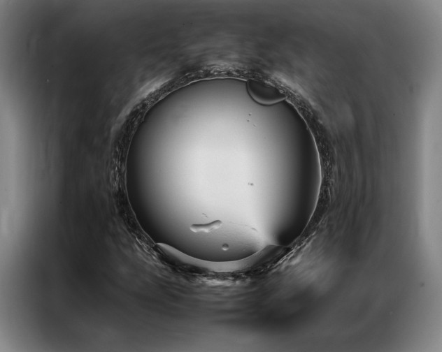 X0000087371207200704201222