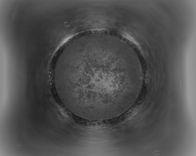 X0000087371208200704201222