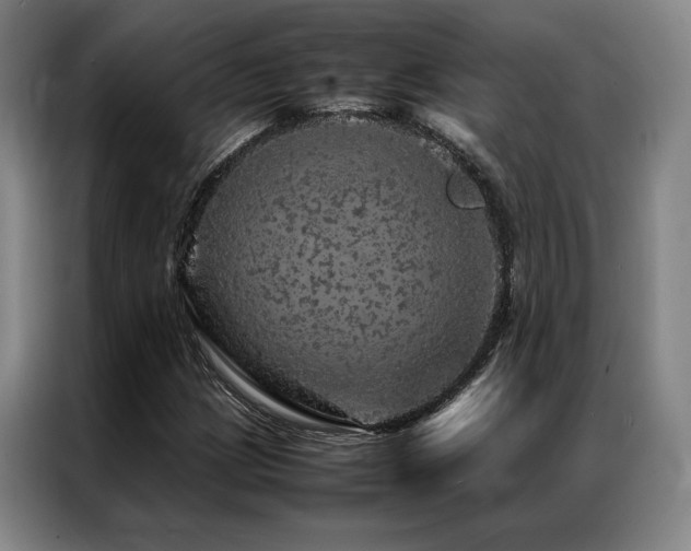 X0000087371209200704201222