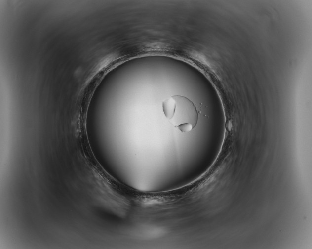 X0000087371211200704201222