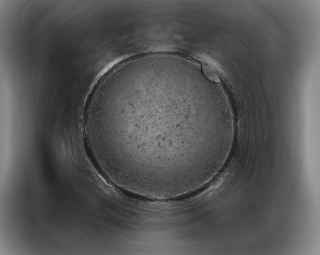 X0000087371212200704201222