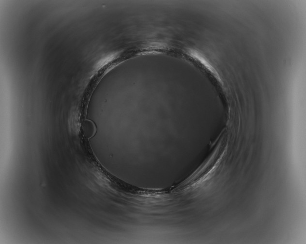 X0000087371213200704201222