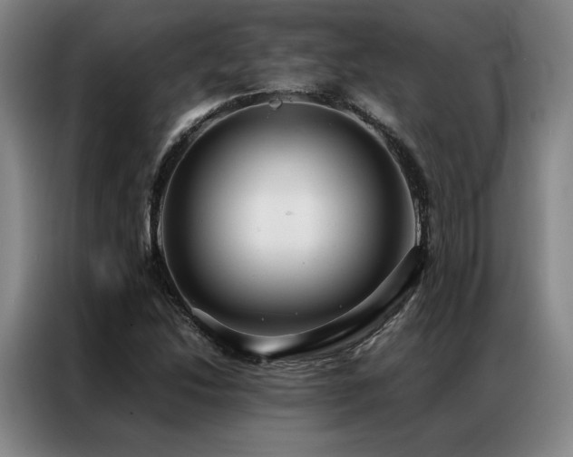 X0000087371214200704201222