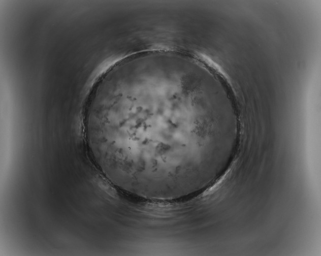 X0000087371215200704201222