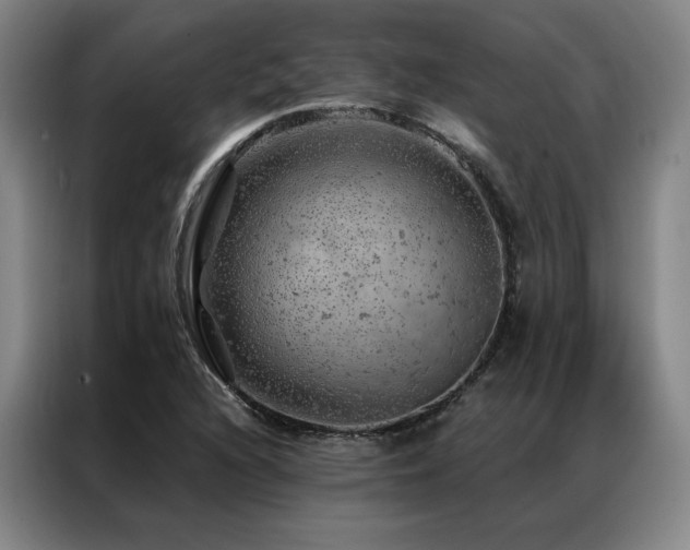 X0000087371216200704201222