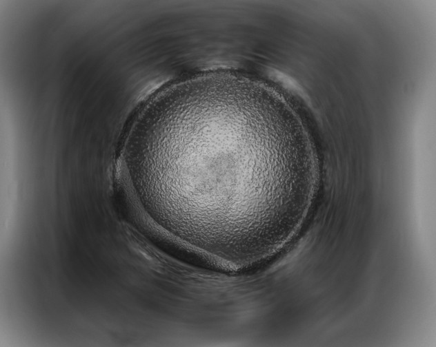 X0000087371217200704201222