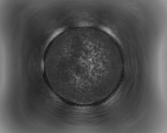 X0000087371221200704201222