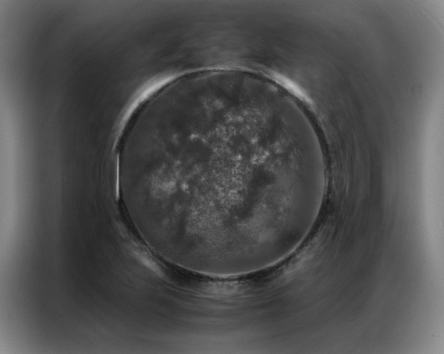 X0000087371223200704201222