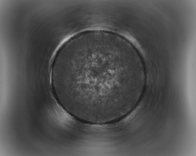 X0000087371224200704201222
