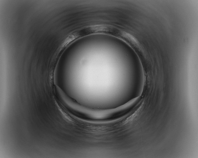 X0000087371225200704201222