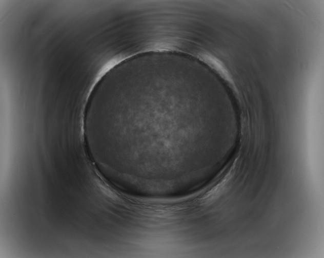 X0000087371226200704201222