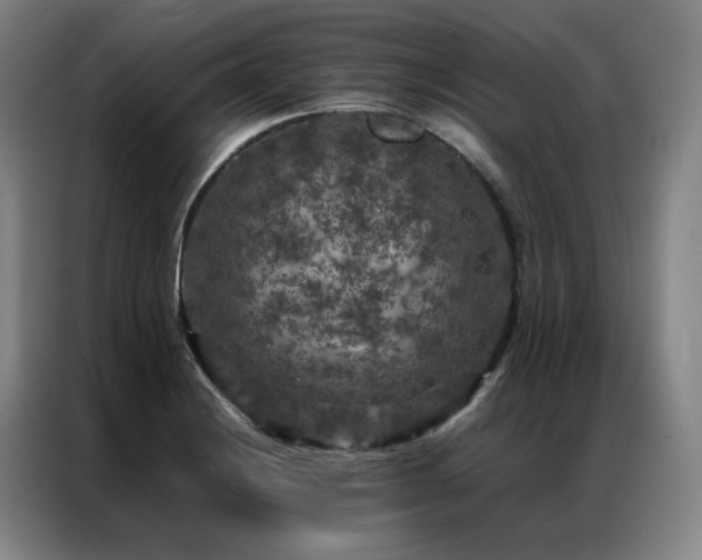 X0000087371228200704201222