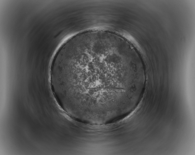 X0000087371232200704201222