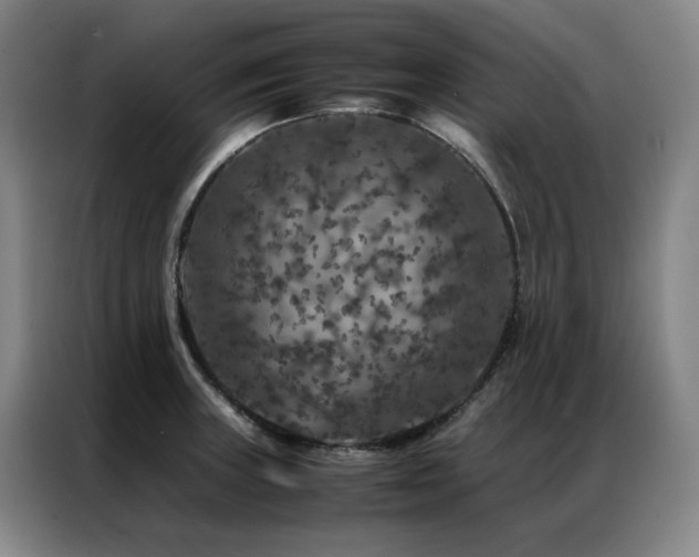 X0000087371235200704201222