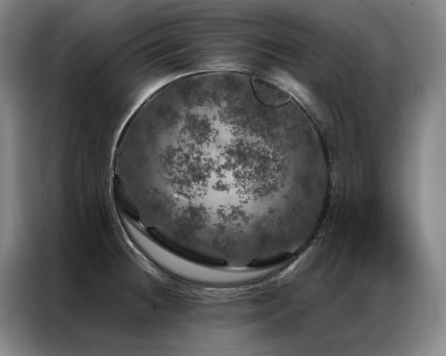 X0000087371236200704201222