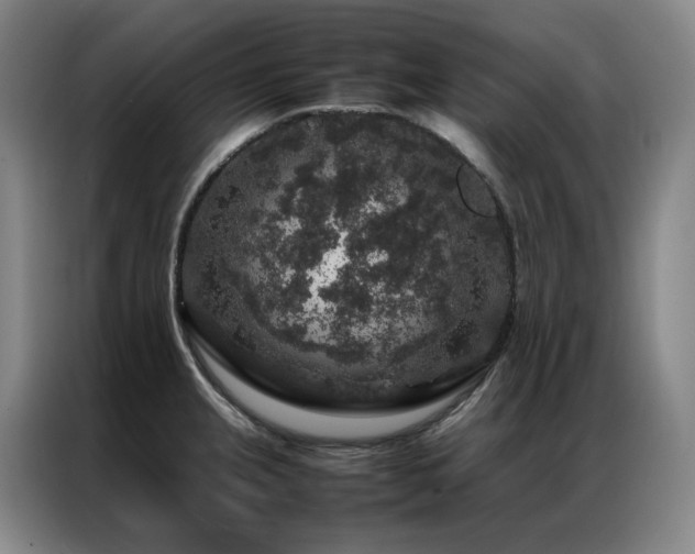 X0000087371237200704201222